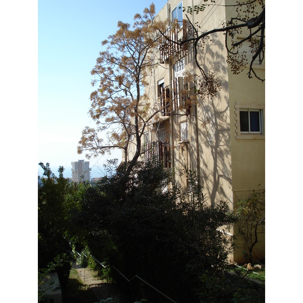 Photo Israel Haifa Carmel 2006-12 104