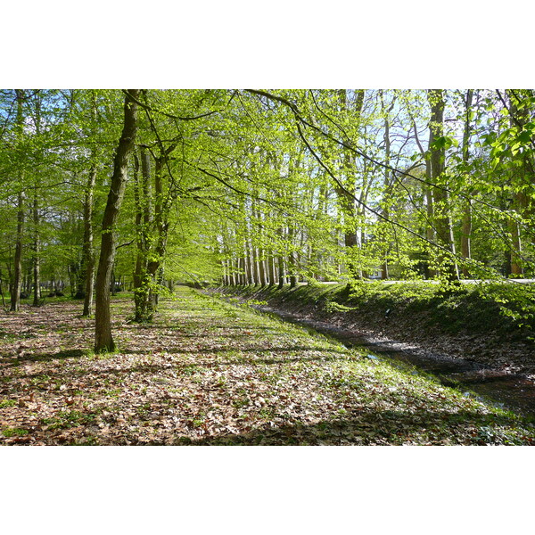 Photo France Château de Chenonceau Jardins de Chenonceau 2008-04 23