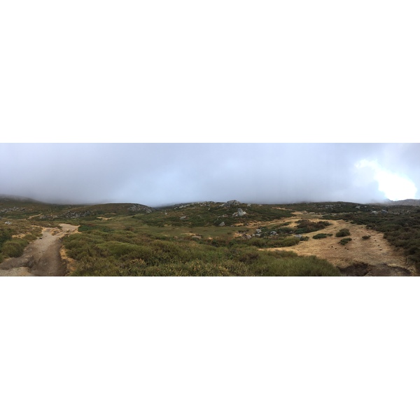 Photo France Corse Alta Rocca 2017-09 16