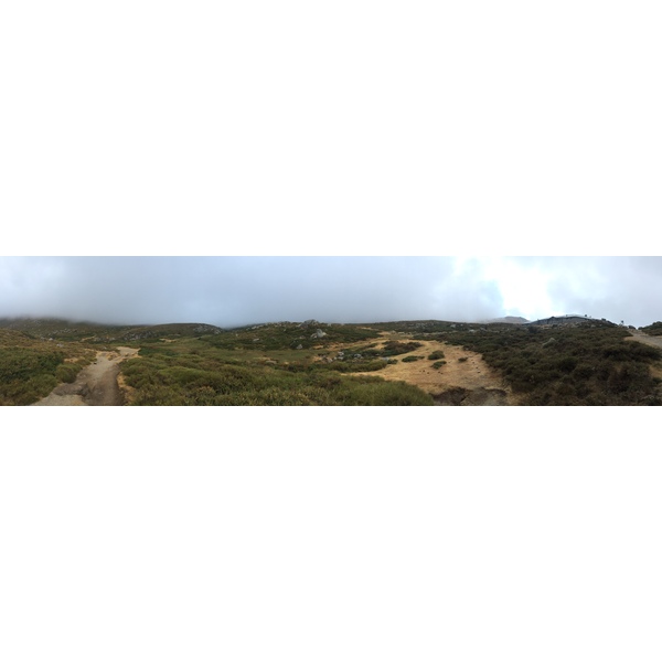 Photo France Corse Alta Rocca 2017-09 15