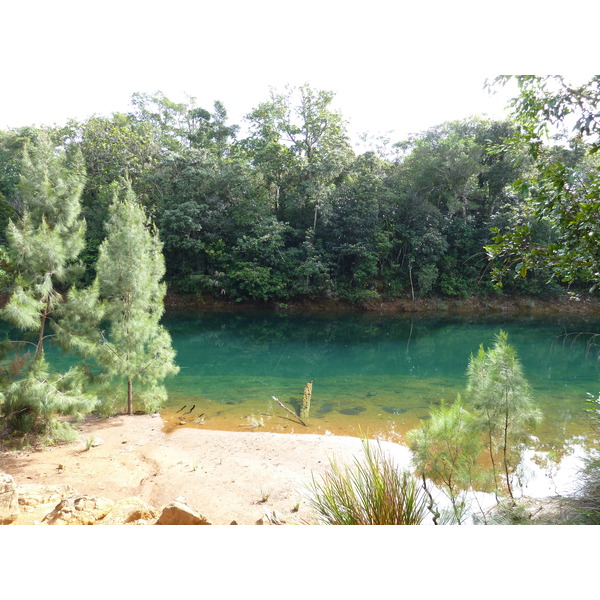 Photo Nouvelle-Calédonie Parc de la Rivière Bleue 2010-05 161