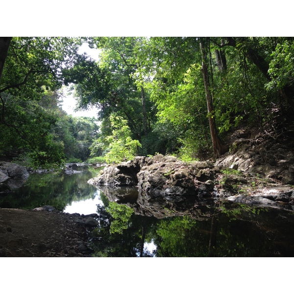 Photo Costa Rica Montezuma 2015-03 377