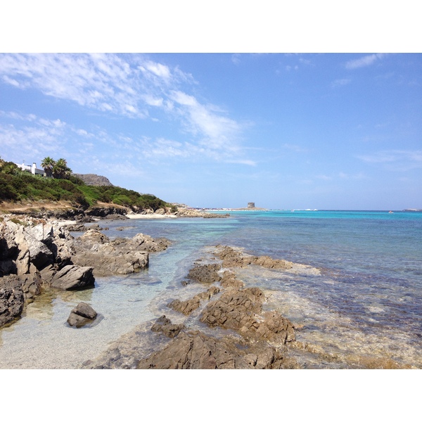 Photo Italie Sardaigne Capo del Falcone 2015-06 48
