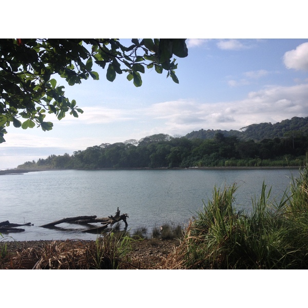 Photo Costa Rica Dominical 2015-03 77