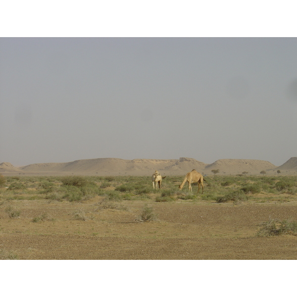 Photo Oman Route de Buraimi à Mahada 2005-03 27