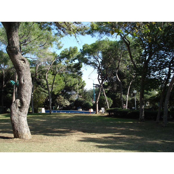 Photo Israel Haifa Carmel 2006-12 5