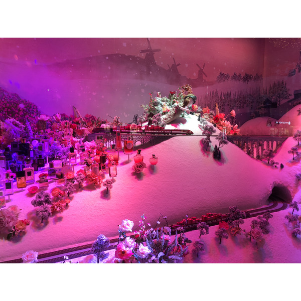 Photo France Paris Vitrines des Grands Magasins 2017-11 40