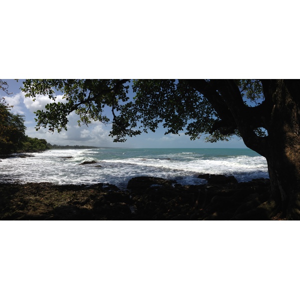 Photo Costa Rica Cahuita 2015-03 0
