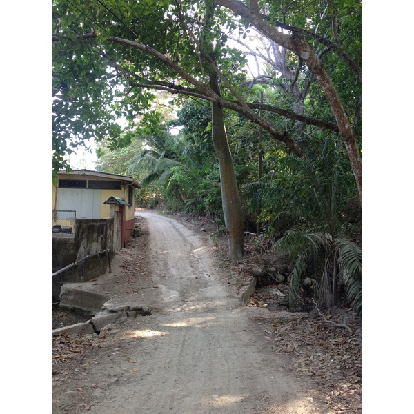 Photo Costa Rica Montezuma 2015-03 236