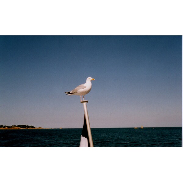 Photo France Île de Bréhat 1997-06 9