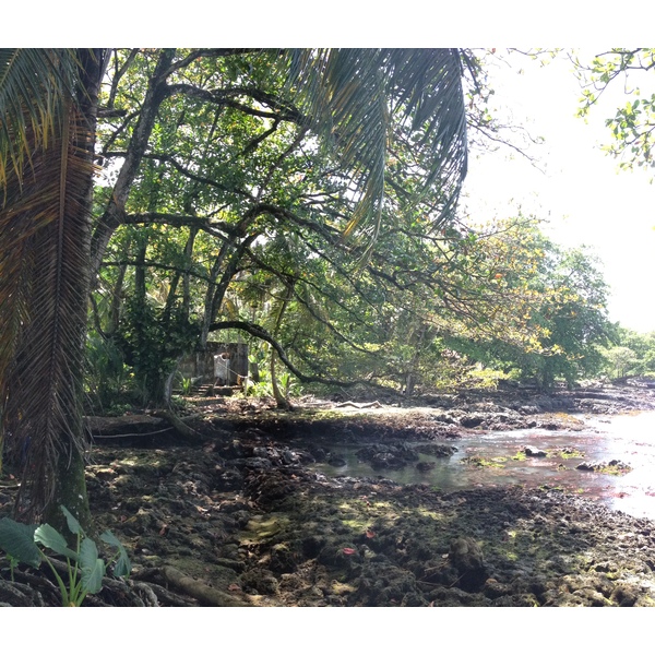 Photo Costa Rica Cahuita 2015-03 19