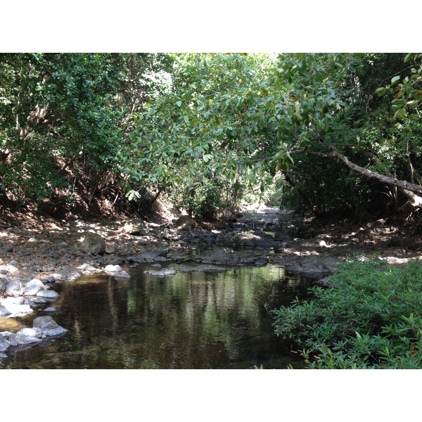 Photo Costa Rica Montezuma 2015-03 162