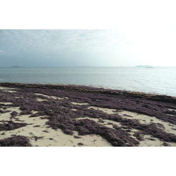 Photo Îles Fidji île Beachcomber 2010-05 13