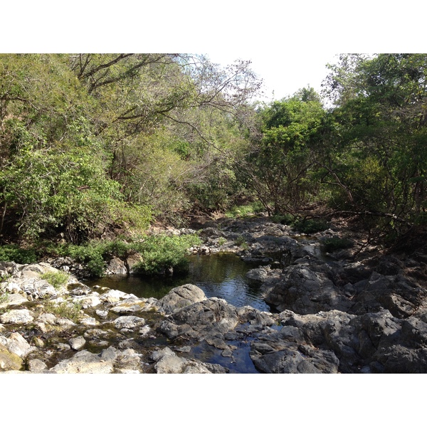 Photo Costa Rica Montezuma 2015-03 450