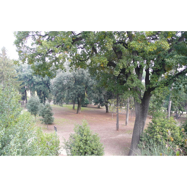 Photo Italie Rome Villa Sciarra 2007-11 8