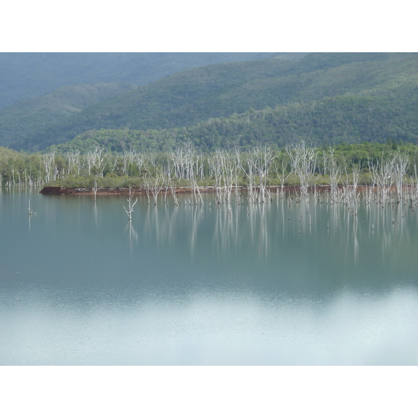 Photo Nouvelle-Calédonie Parc de la Rivière Bleue 2010-05 42