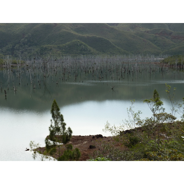 Photo Nouvelle-Calédonie Parc de la Rivière Bleue 2010-05 24