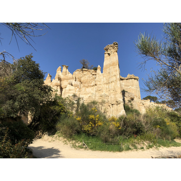 Photo France Orgues d'Ille Sur Tet 2018-04 19