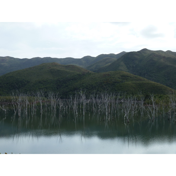 Photo Nouvelle-Calédonie Parc de la Rivière Bleue 2010-05 54