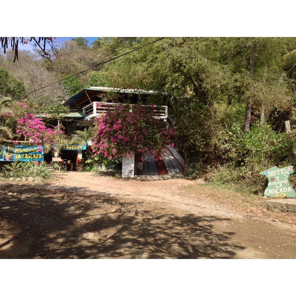 Photo Costa Rica Montezuma 2015-03 461