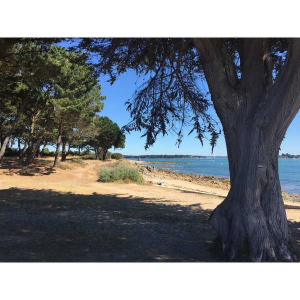 Photo France Locmariaquer 2016-08 39