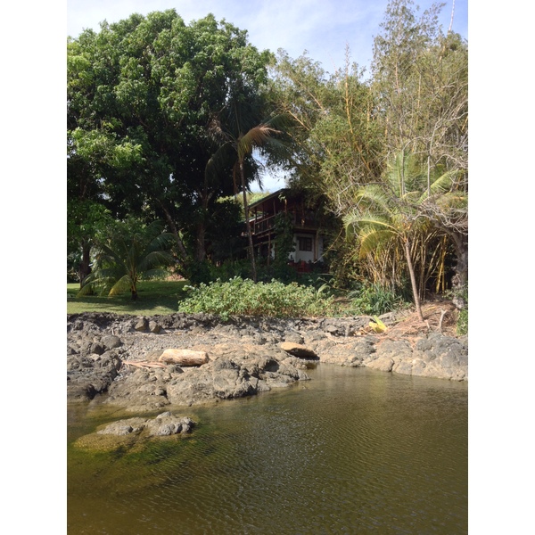 Photo Costa Rica Montezuma 2015-03 48
