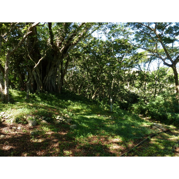 Photo Îles Fidji Fort de Tavuni 2010-05 4