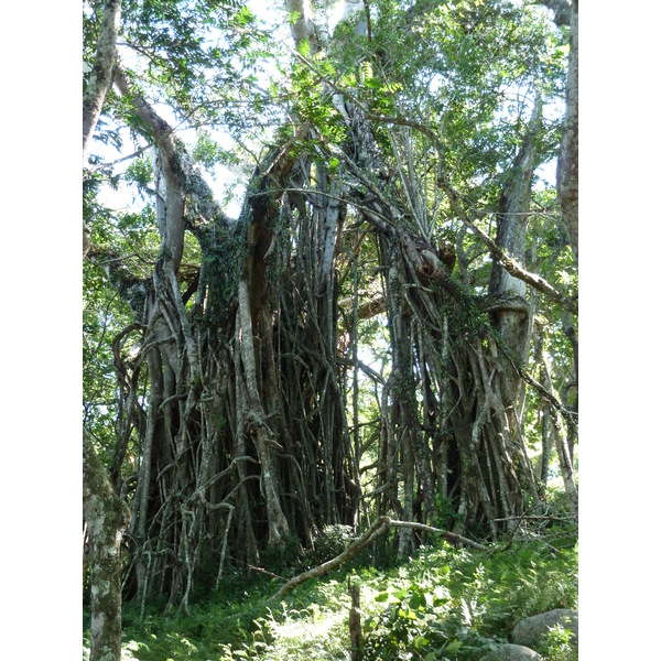 Photo Îles Fidji Fort de Tavuni 2010-05 12