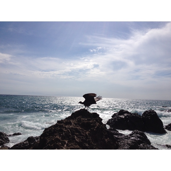 Photo Costa Rica Montezuma 2015-03 583
