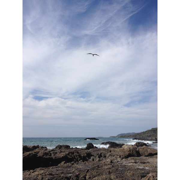 Photo Costa Rica Montezuma 2015-03 539