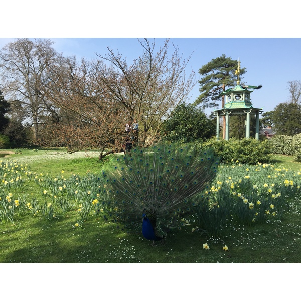 Photo France Paris Bagatelles 2017-03 15