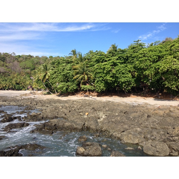Photo Costa Rica Montezuma 2015-03 85