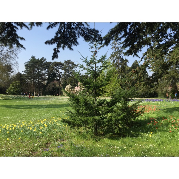 Photo France Paris Bagatelles 2017-03 6