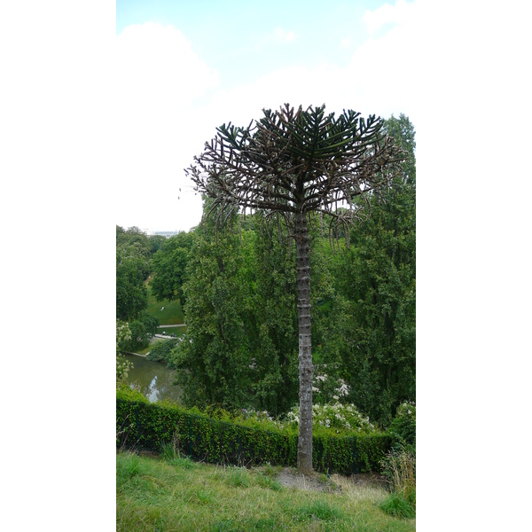 Photo France Paris Parc des Buttes-Chaumont 2007-08 78