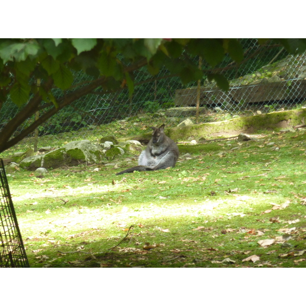 Photo Italie Villa Pallavicino 2009-06 111