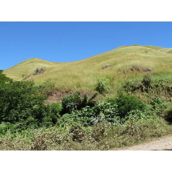 Photo Îles Fidji Rivière Sigatoka 2010-05 37