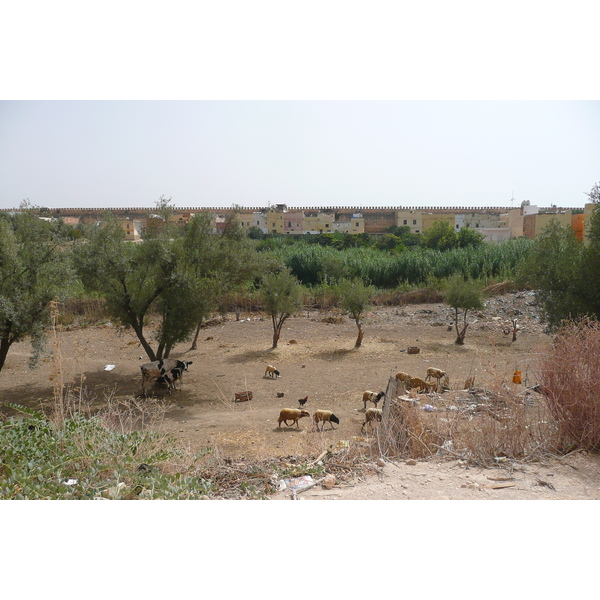 Photo Maroc Meknes 2008-07 43