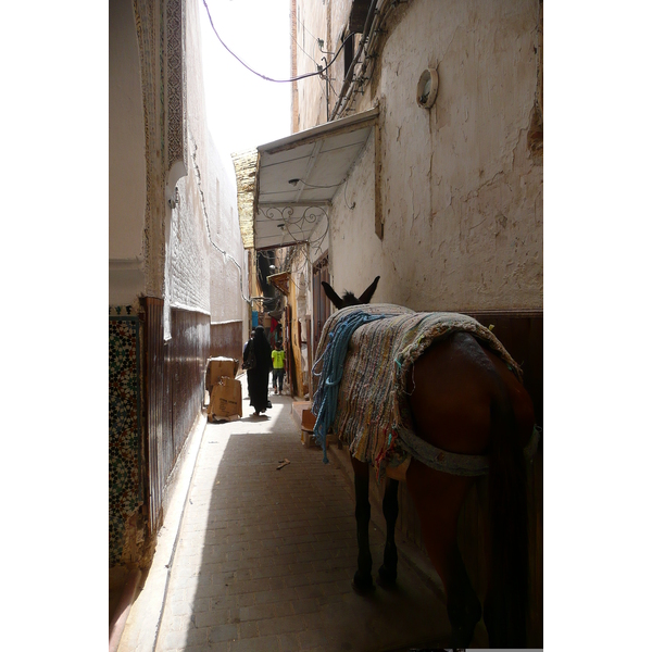 Photo Maroc Fez 2008-07 30