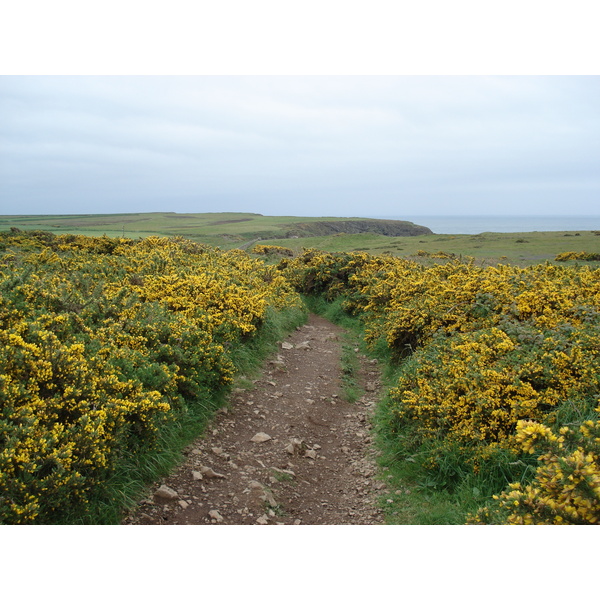 Photo Royaume-Uni Pembrokeshire Martins Havens 2006-05 14