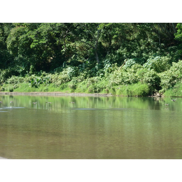 Photo Îles Fidji Rivière Sigatoka 2010-05 3
