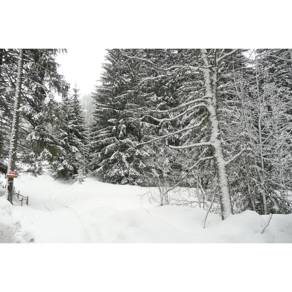 Photo France Megève Le Planay 2010-02 38