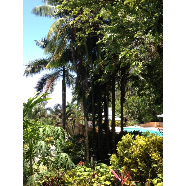 Photo Costa Rica Parc Manuel Antonio 2015-03 3