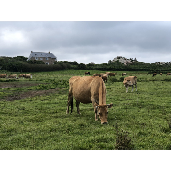 Photo France Île de Bréhat 2020-06 24