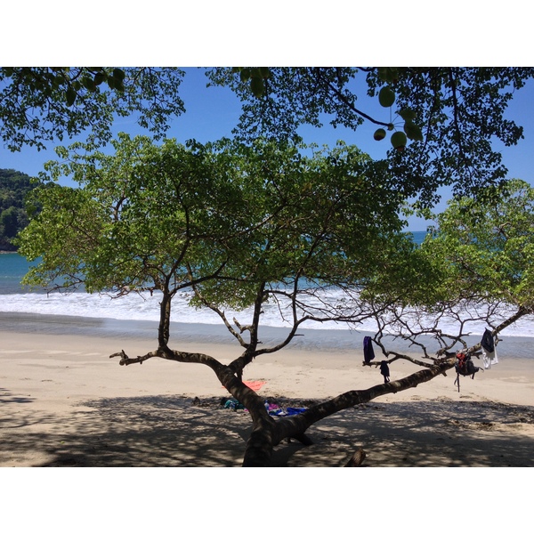 Photo Costa Rica Parc Manuel Antonio 2015-03 154