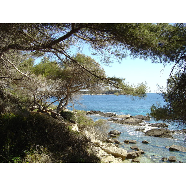 Photo France Cannes Sainte Marguerite 2004-05 32