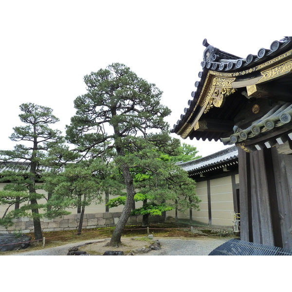 Photo Japon Kyoto Château Nijo 2010-06 16