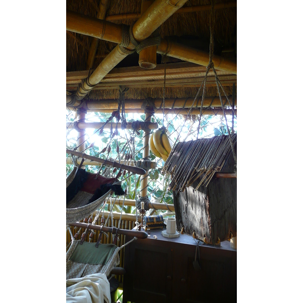 Photo France Disneyland Paris La Cabane des Robinson 2007-07 22