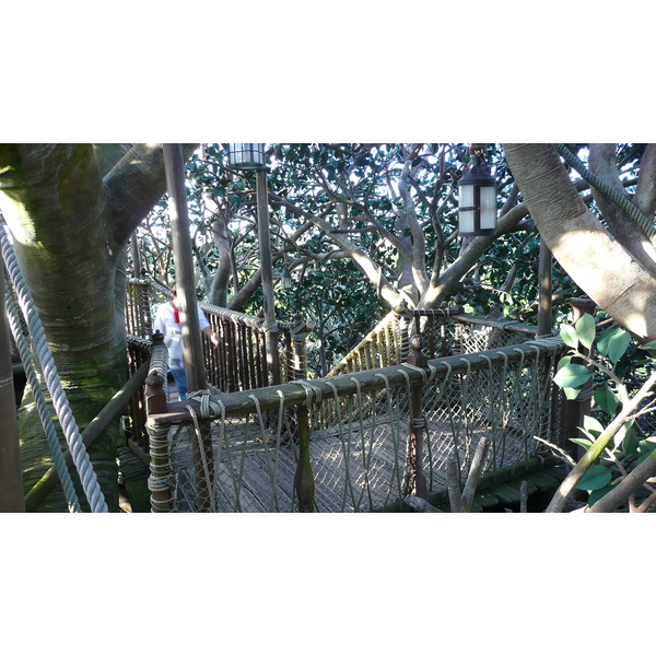 Photo France Disneyland Paris La Cabane des Robinson 2007-07 17