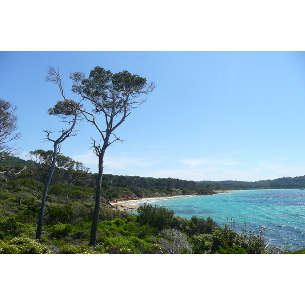 Photo France Ile de Porquerolles Pointe du Lequin 2008-05 15