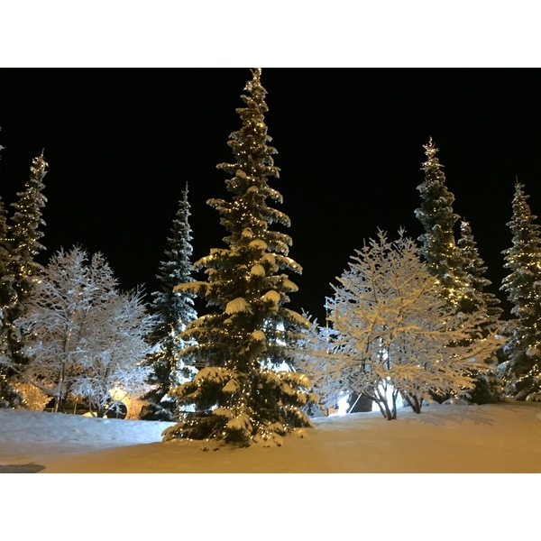 Photo France Megève 2016-02 71